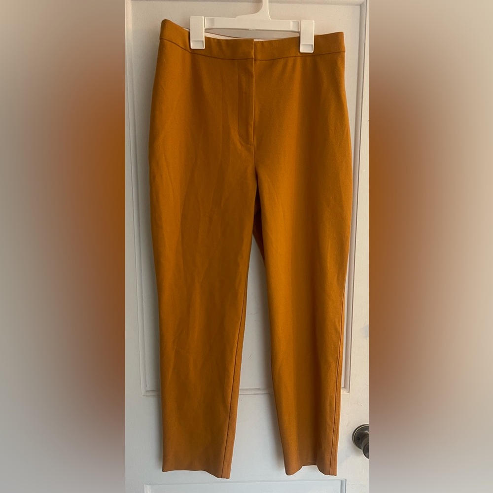 Aritzia Little Moon Martini Pants Size 10